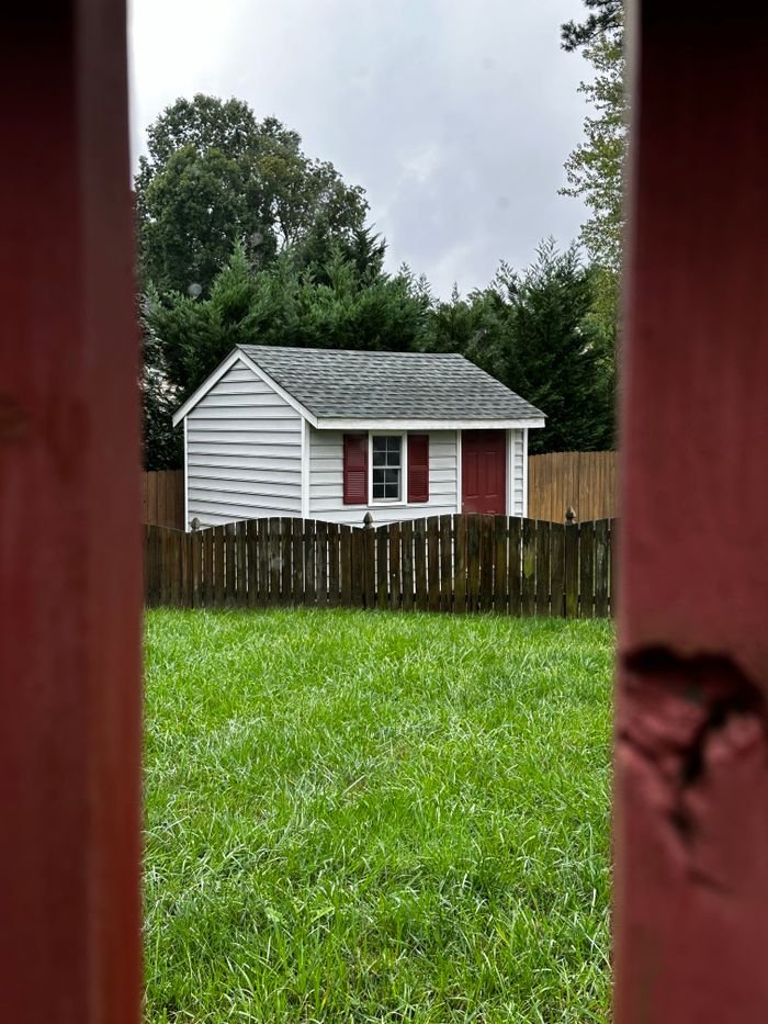 A picturesque white shed with red shutters in a lush garden setting.